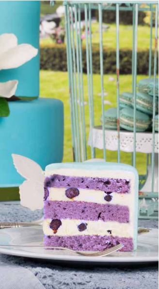 blueberry cake ardovino